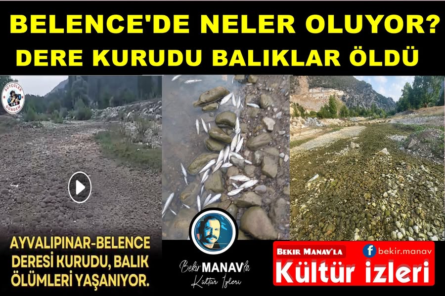 BELENCE KURUYOR